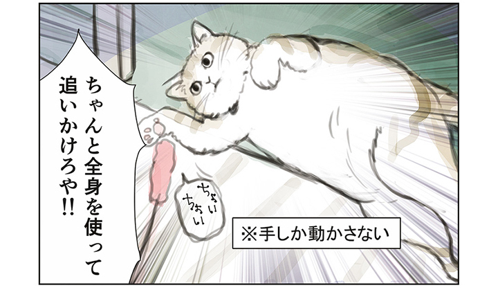 【今週の注目マンガ8選】お太り猫様のいる生活！ 他