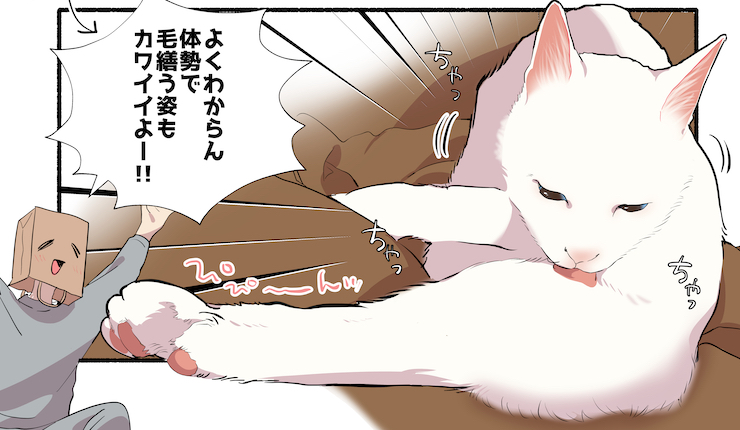 【今週の注目マンガ7選】猫ちゃん、カワイイよー！！！！！！ 他