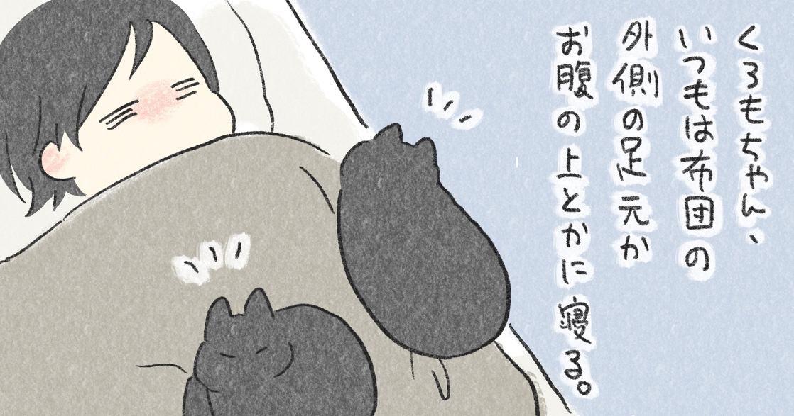 あなたはどの猫で癒されちゃう?タテヨミ猫マンガ特集